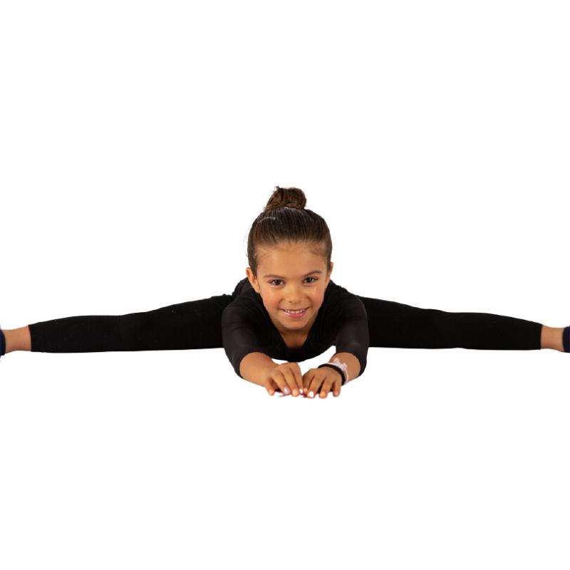 Ginástica
